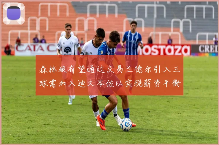 森林狼有望通过交易兰德尔引入三球需加入迪文岑佐以实现薪资平衡