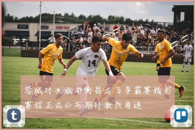 蓉城对决成都衡昌龙马争霸赛精彩赛程正式公布期待激烈角逐