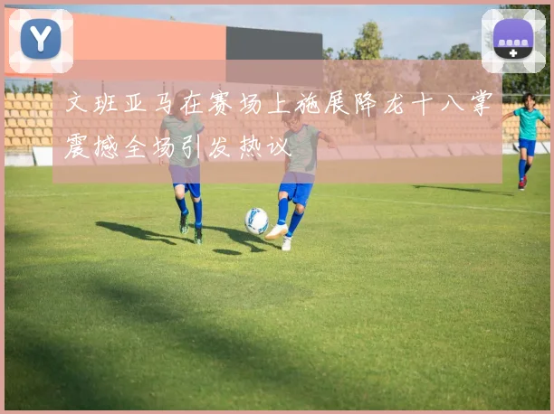 文班亚马在赛场上施展降龙十八掌震撼全场引发热议